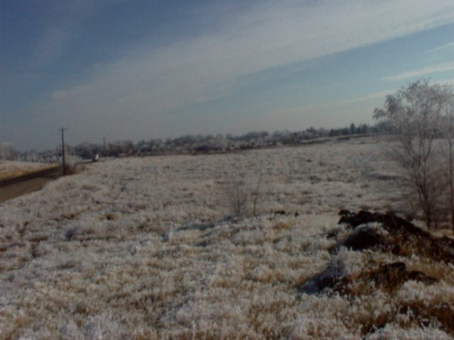 Looking north-east from the highest point 31 Dec '99