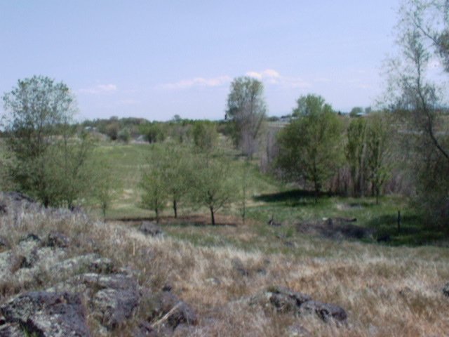 Looking south-east from the highest point 14 May '00