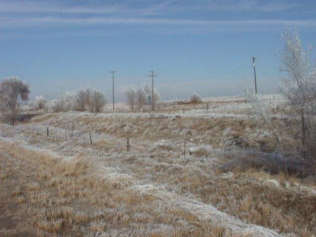 Looking north-west from mid-point frontage road 31 Dec '99